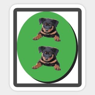 puppies on the green background Sticker